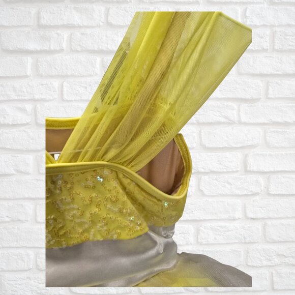 Yellow Ballet Recital Costume XS(4T)-Leotard with attached tutu & embellishments - Picture 5 of 7